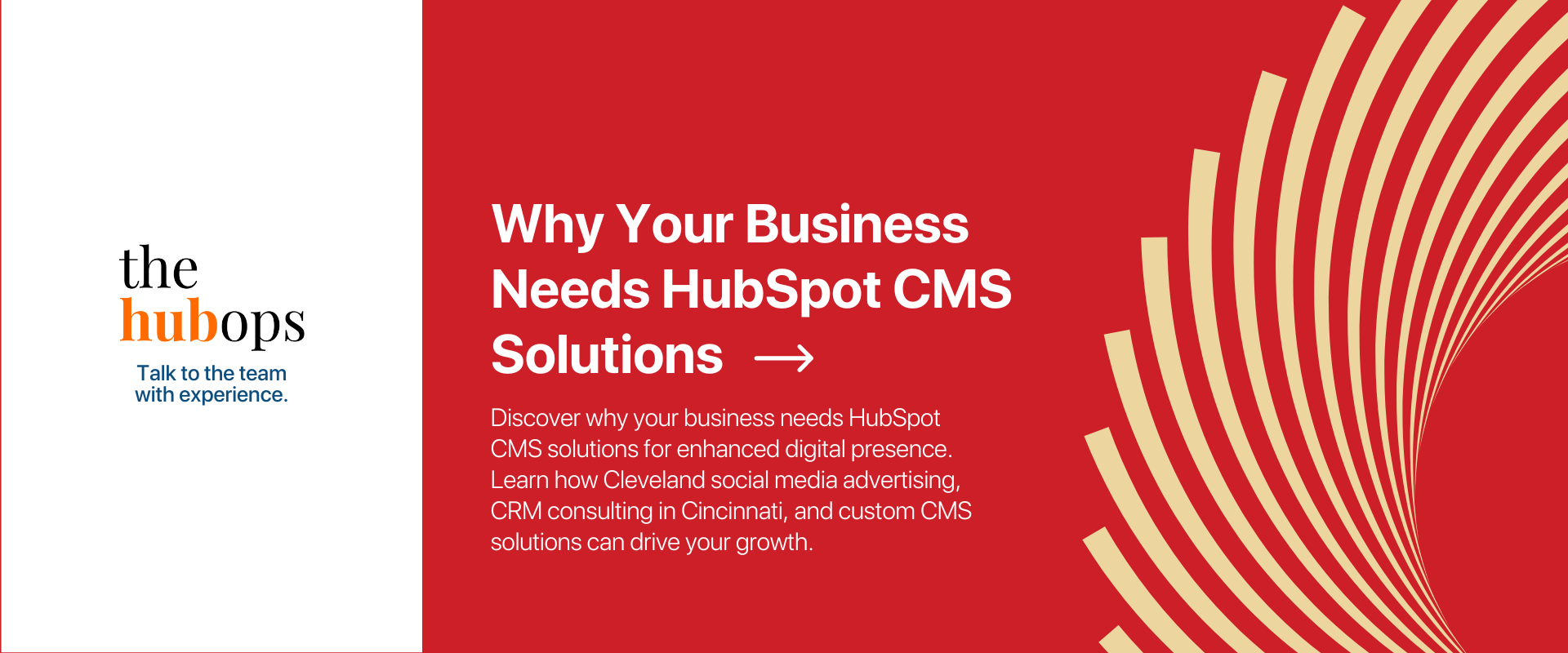 Bespoke CMS Solutions - The HubOps